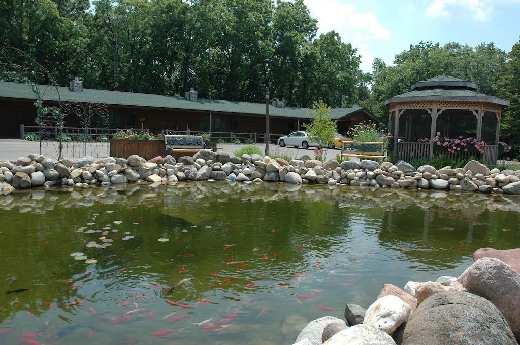 Bed and Breakfast Lazy Cloud Williams Bay Екстер'єр фото